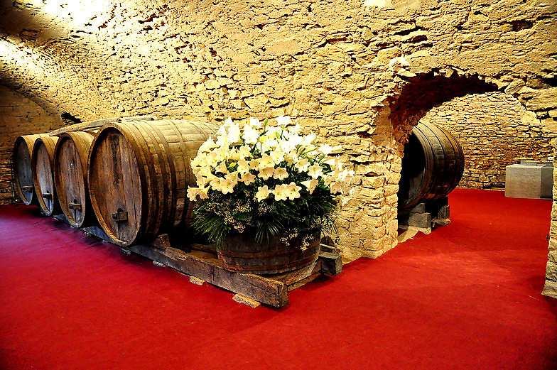 manoir-de-la-garde-cuvage-3.jpg